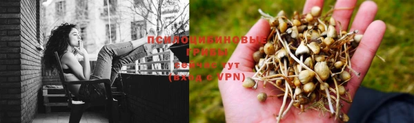 альфа пвп Надым
