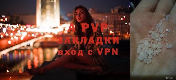 гидра Михайловка